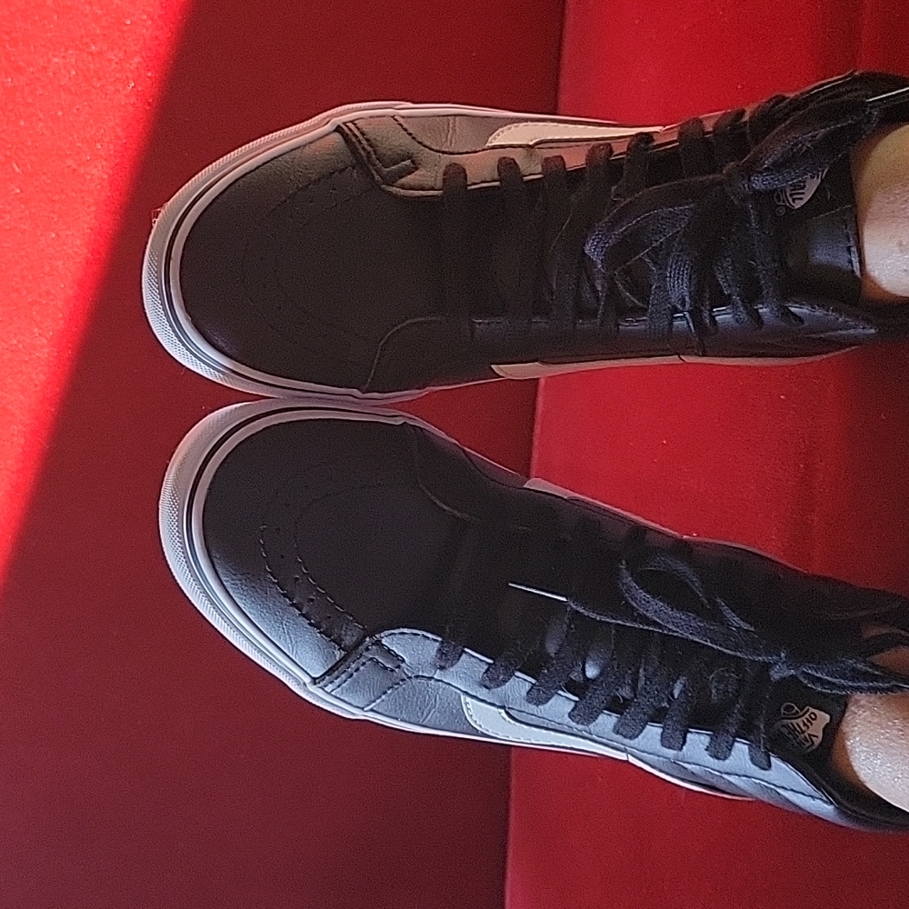 VANS  Skateboard shoe EUC